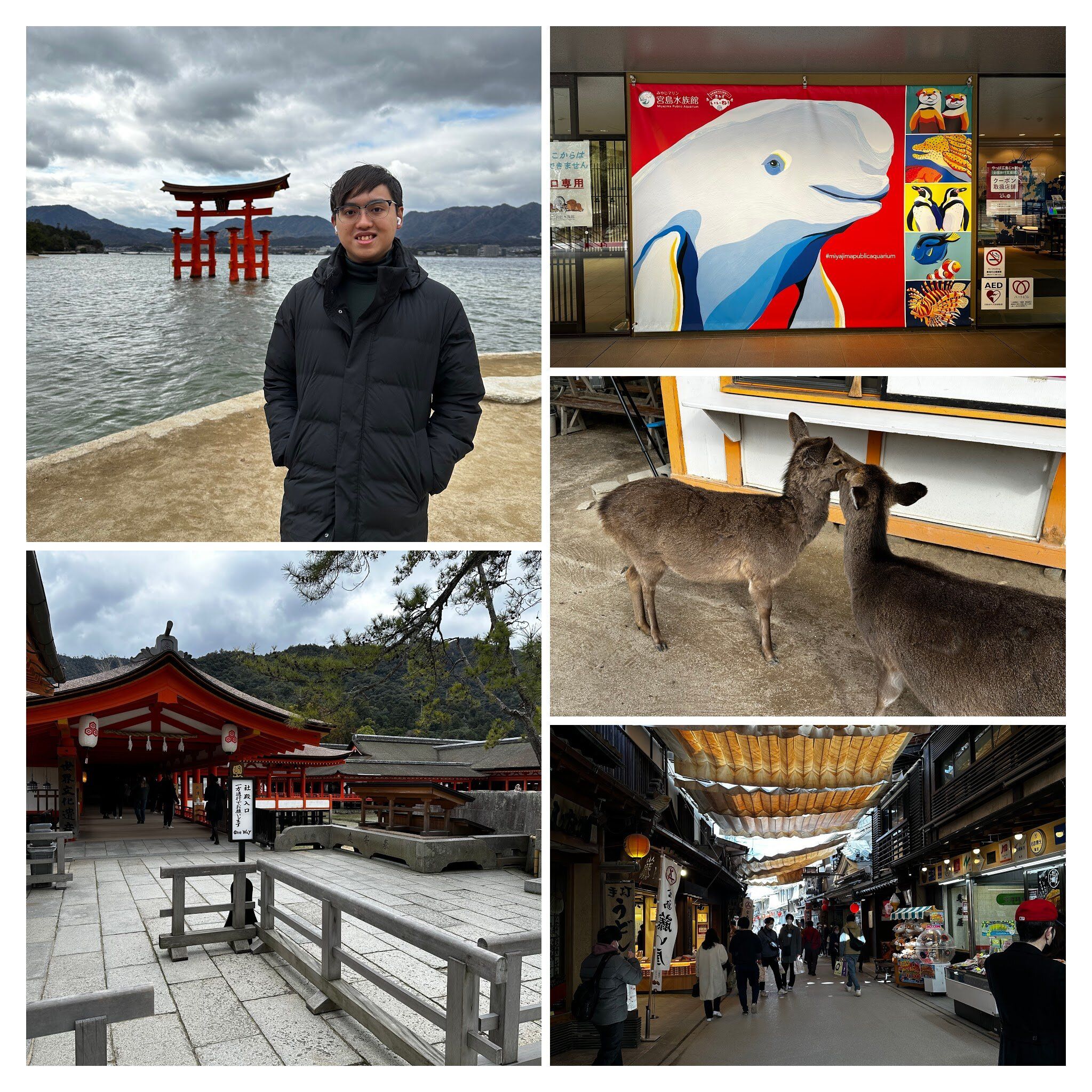 day6-miyajima